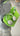 Jello Tote Green | Jelly Firkin - imagem 2
