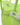 Jello Tote Green | Jelly Firkin - imagem 3
