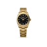 Watch Nibosi Gold Pro