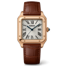Watch Nibosi Gold Steel Elite
